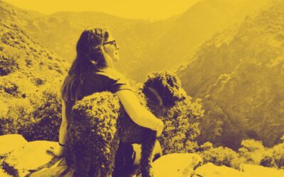 Filosofía, objetivos y valores
