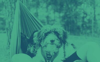 Necesidades Básicas de los perros domésticos para la Vida Perra