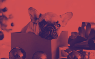  UN CACHORRO POR NAVIDAD