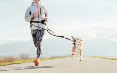 02×03. SALIR A CORRER ¿es realmente una necesidad canina? 