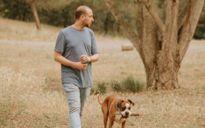 T3x04. RAZAS CANINAS