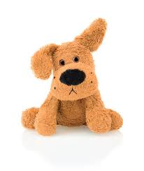 T3x06. Decidir NO TENER PERRO 